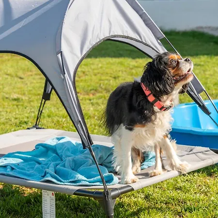 Justin بيت للعطل *