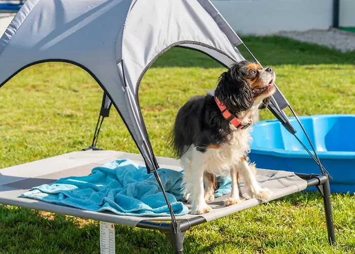 Justin بيت للعطل *