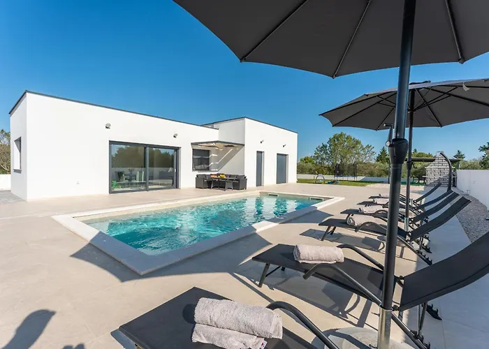 Justin Vikendica Prkos